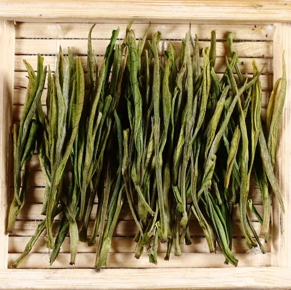 Anji Bai Cha: o molekularnych podstawach bielactwa herbacianego