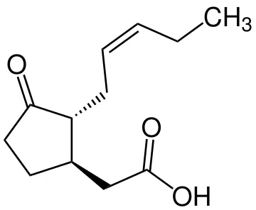 O biochemicznych podstawach produkcji oolong. Kwas jasmonowy