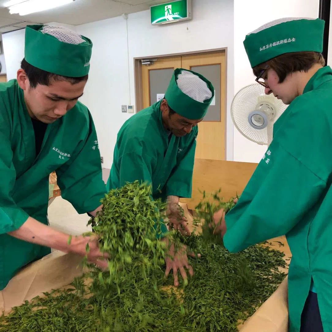 obróbka liści herbaty - Haburai