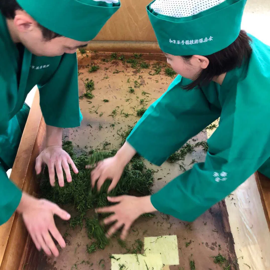 obróbka liści herbaty - Kaitenmomi