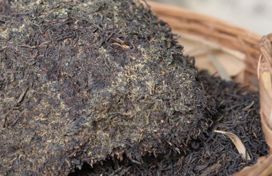 Mikotoksyny w ciemnych herbatach