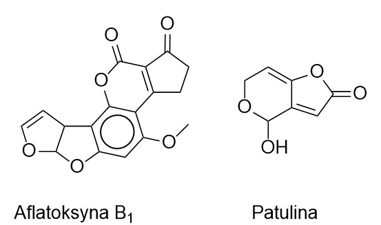 aflatoksyny